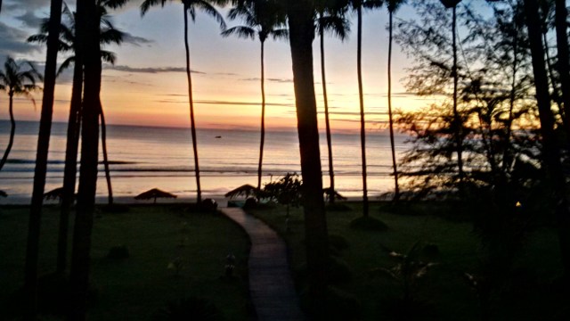 wp-14449 23284949 image