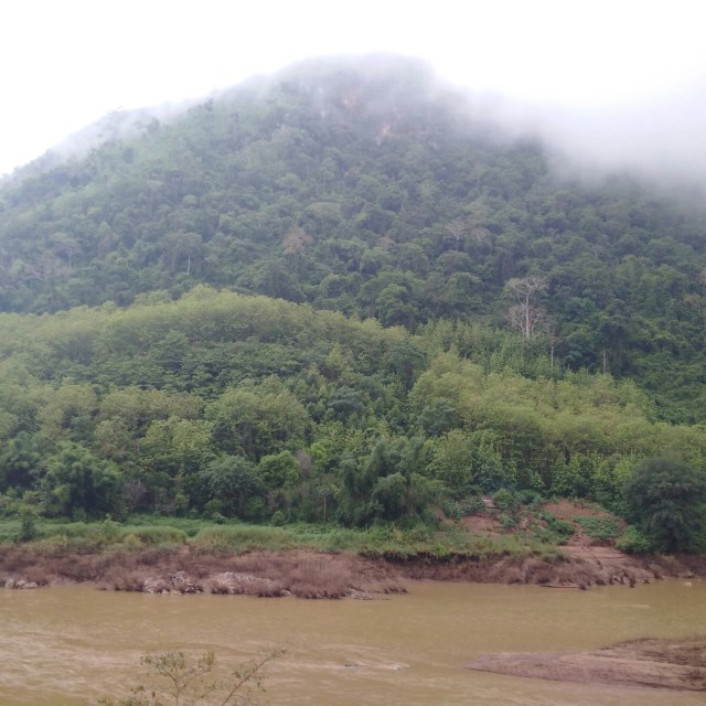 IMG_20160525_060557.jpg image