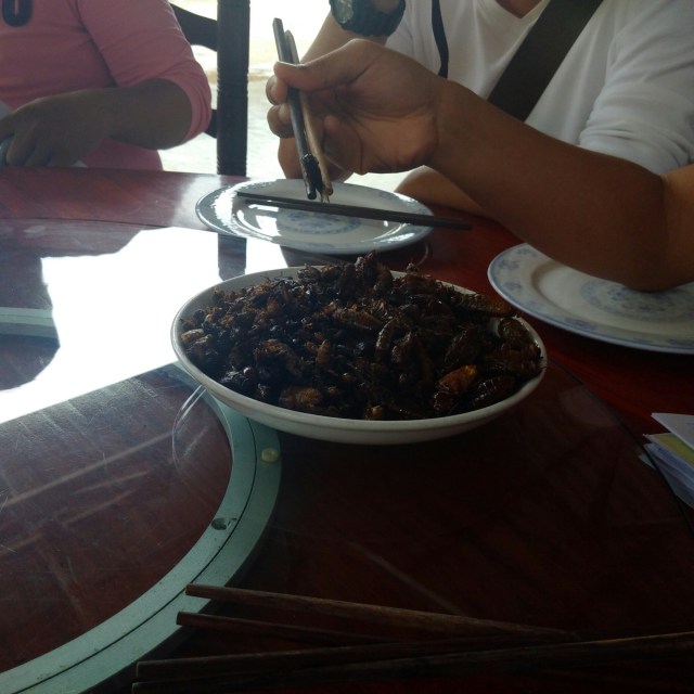 IMG_20160526_112542.jpg image