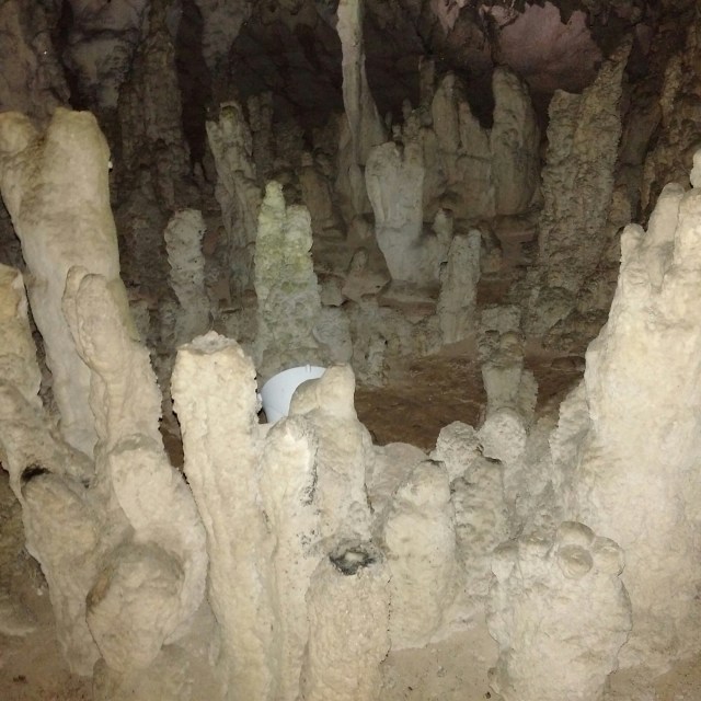 IMG_20160528_102805.jpg image