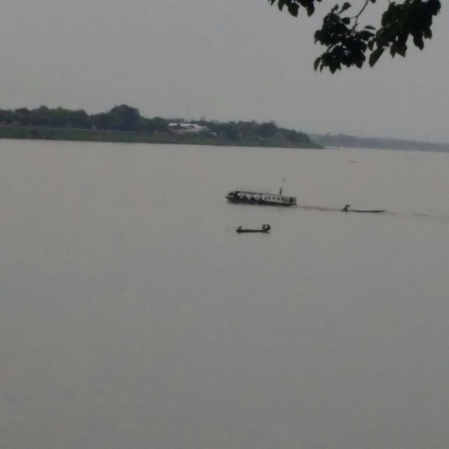 IMG_20160529_091104.jpg image