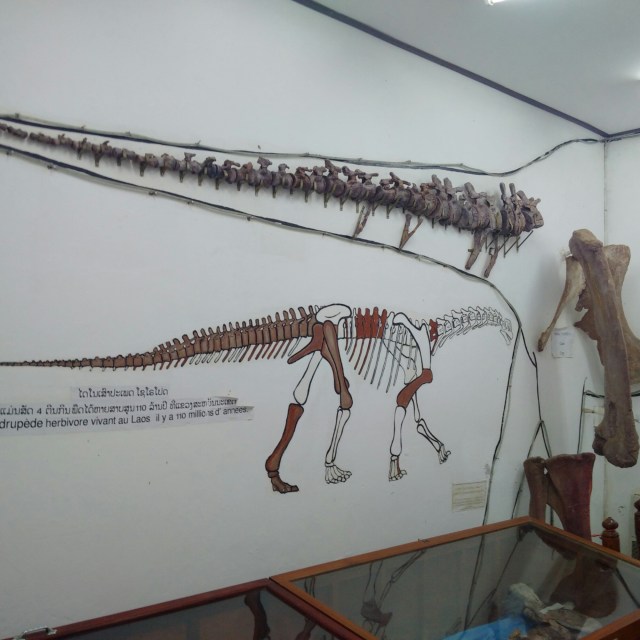 IMG_20160529_142344.jpg image