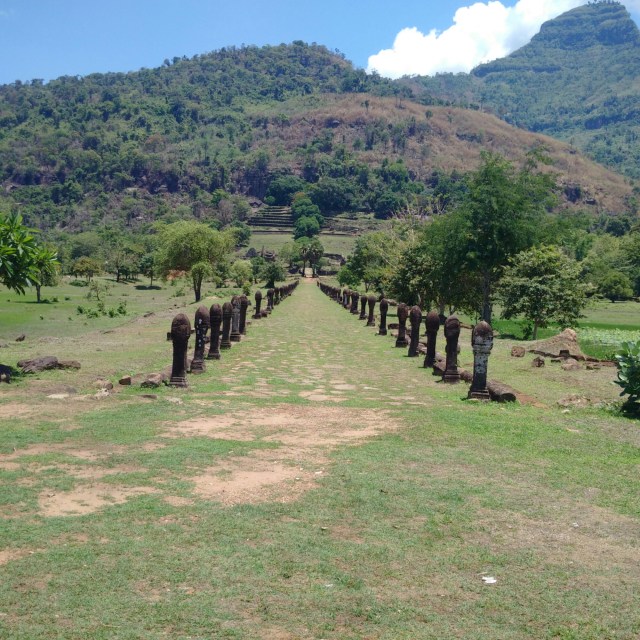 IMG_20160602_114225.jpg image