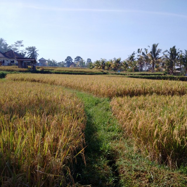 IMG_20160605_094110.jpg image